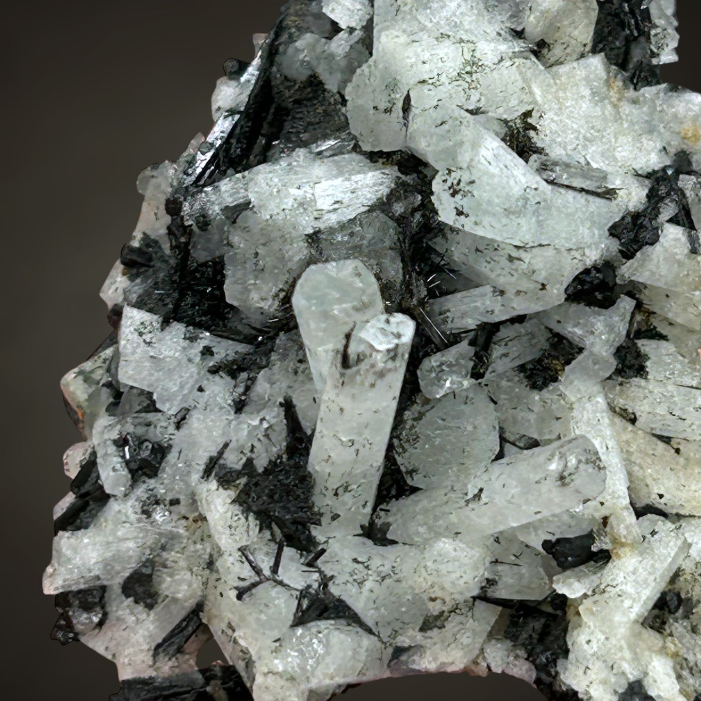 Aquamarin/e & Schorl cluster - Erongo, Namibia
