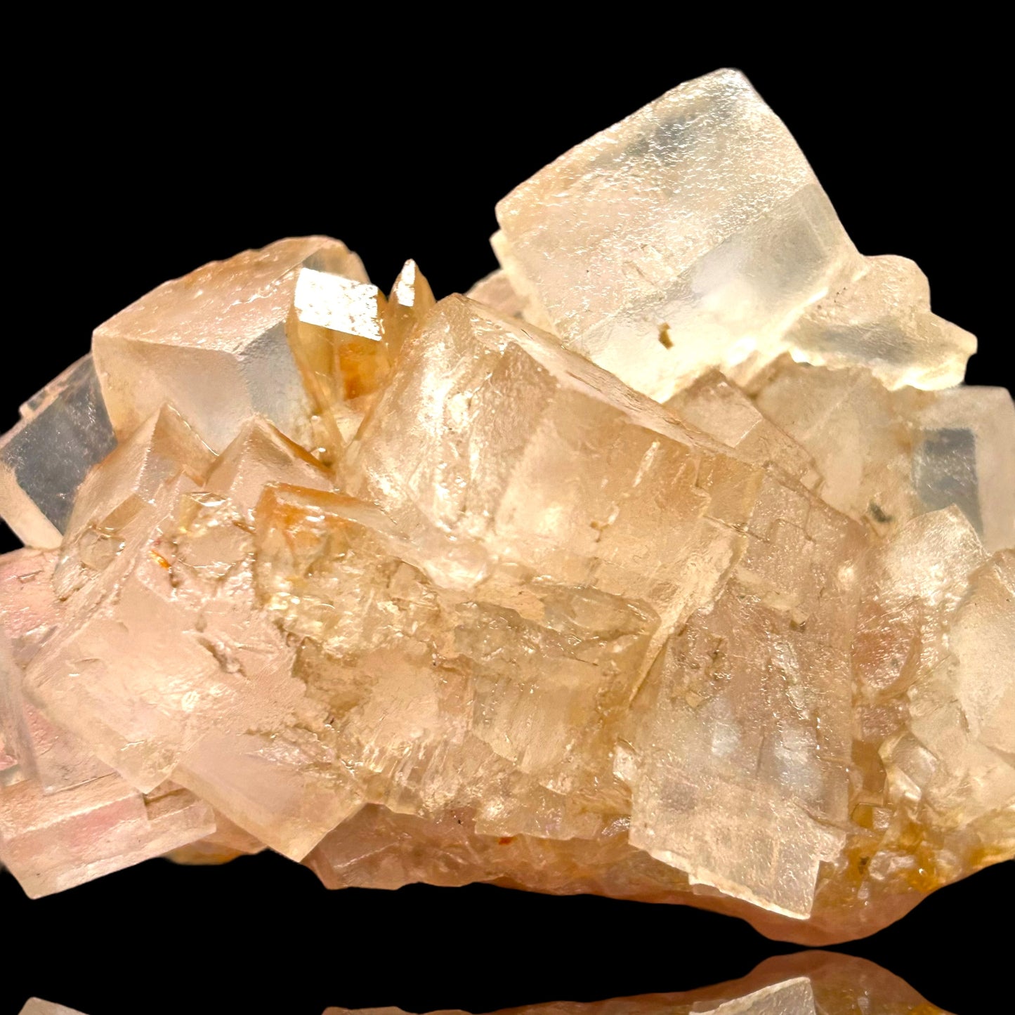 Mangano Halit/e, Gypsum - Bleicherode, Thüringen