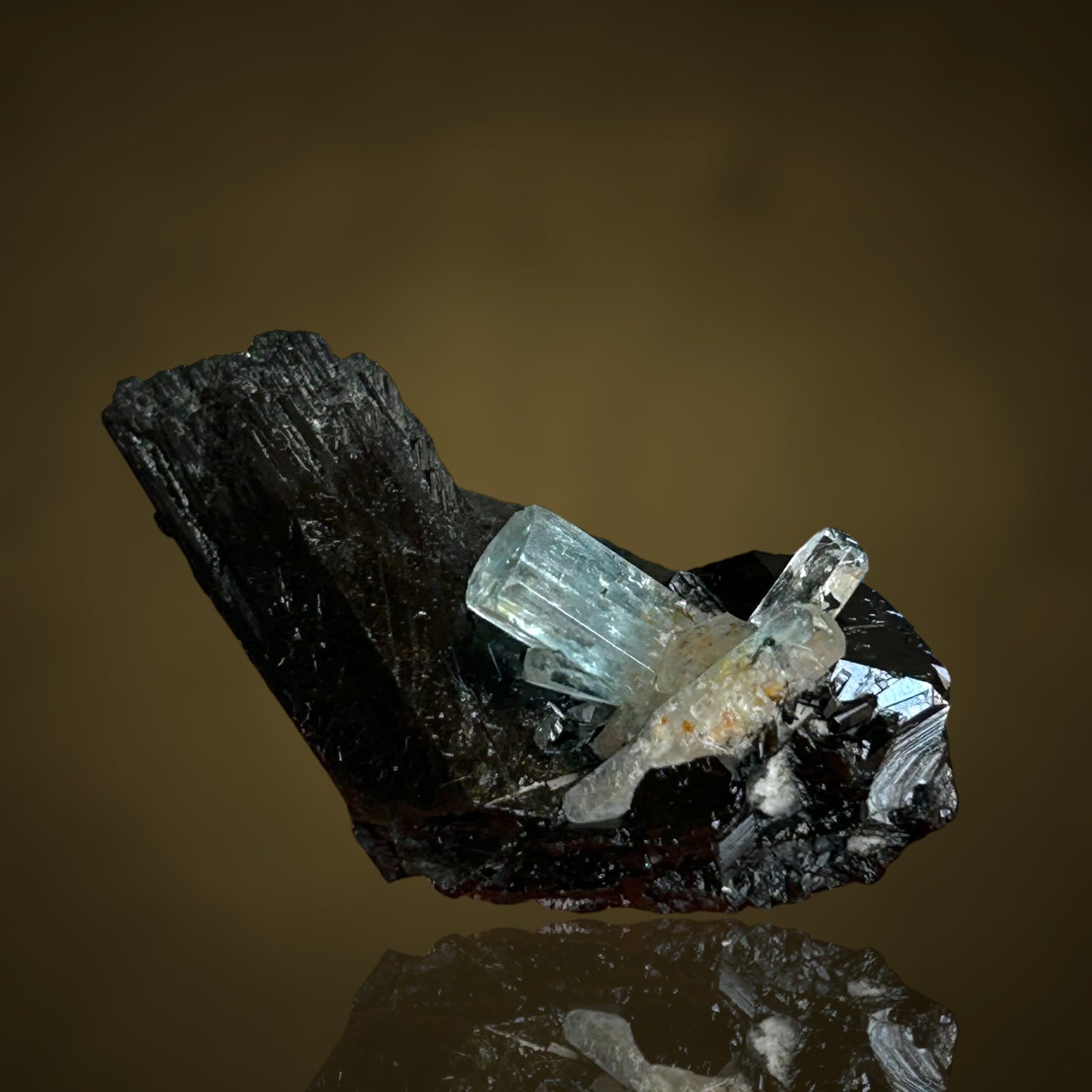 Aquamarine, Schorl Tourmaline - Erongo, Namibia