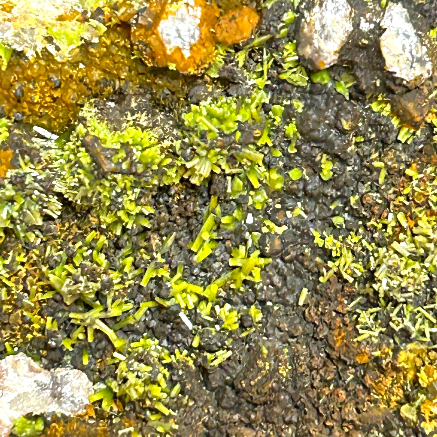 Pyromorphit - Grube Katzenpfad, Rheinland-Pfalz, Deutschland