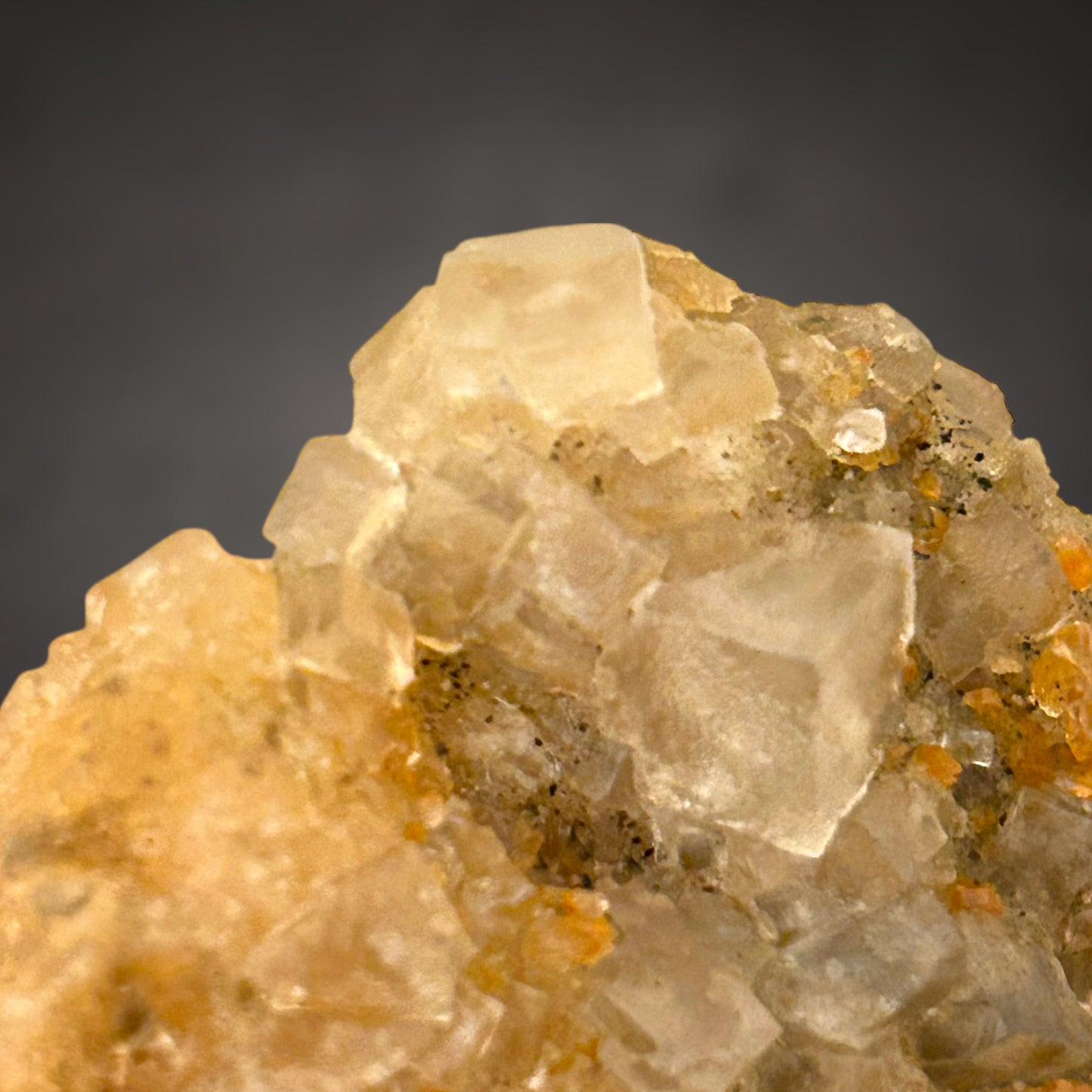 Halit - Bleicherode, Thüringen