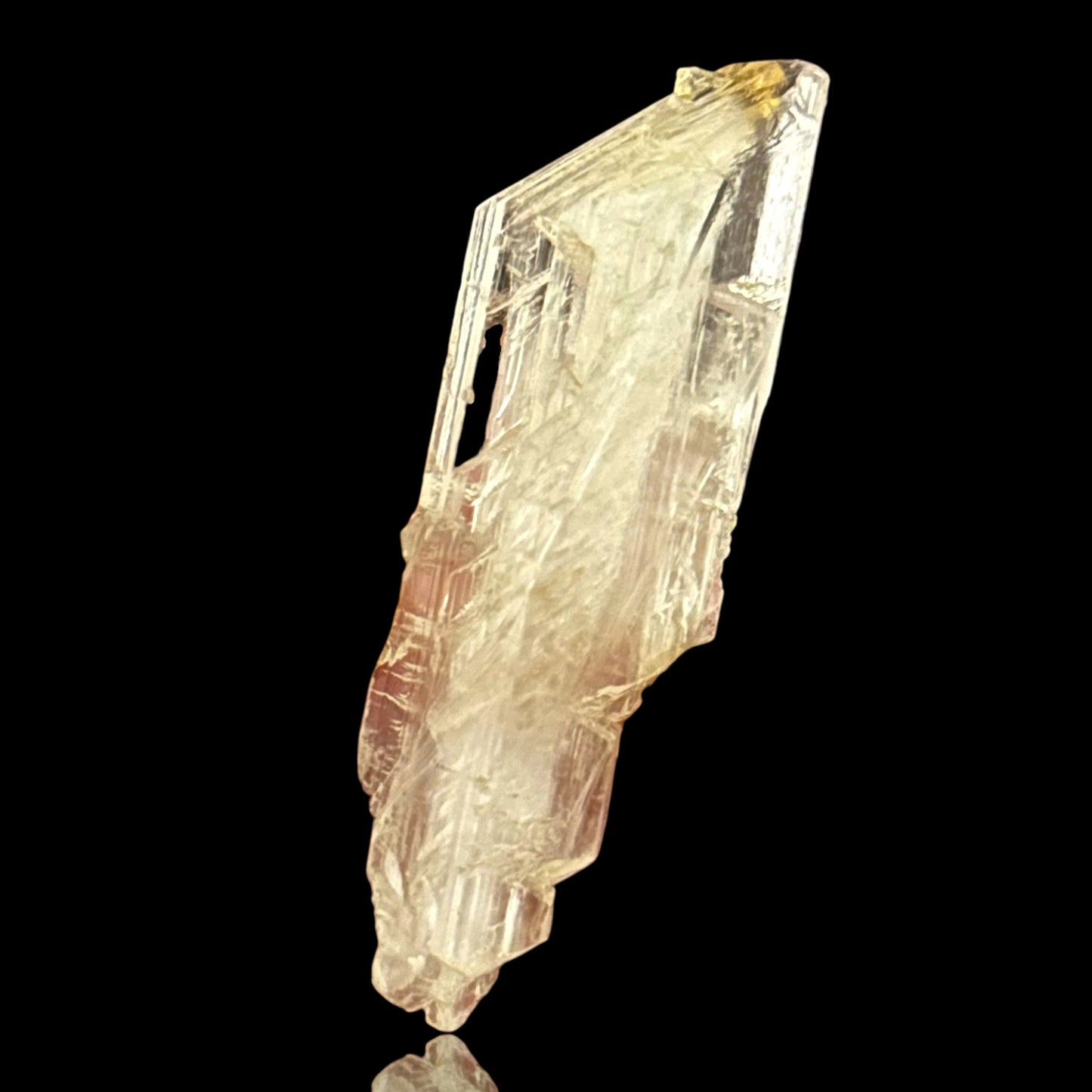 Goldener Gips - Bleicherode 🇩🇪