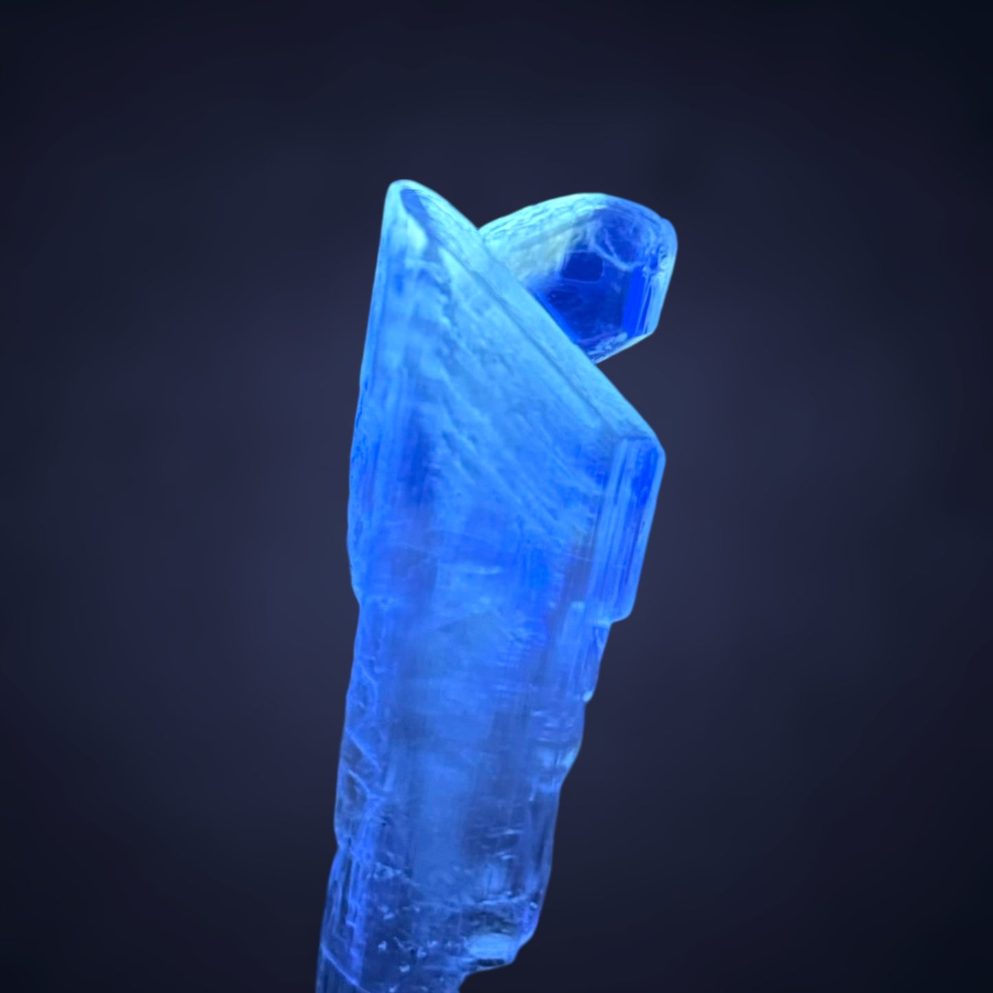 Goldener Gips - Bleicherode, Deutschland