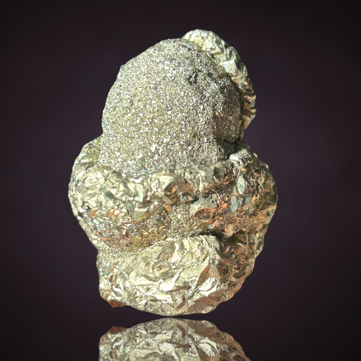 Pyrit/e & Fossil - Hamelspringe, Deutschland