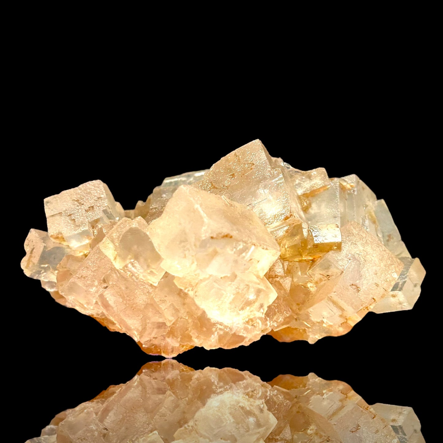 Mangano Halit/e, Gypsum - Bleicherode, Thüringen