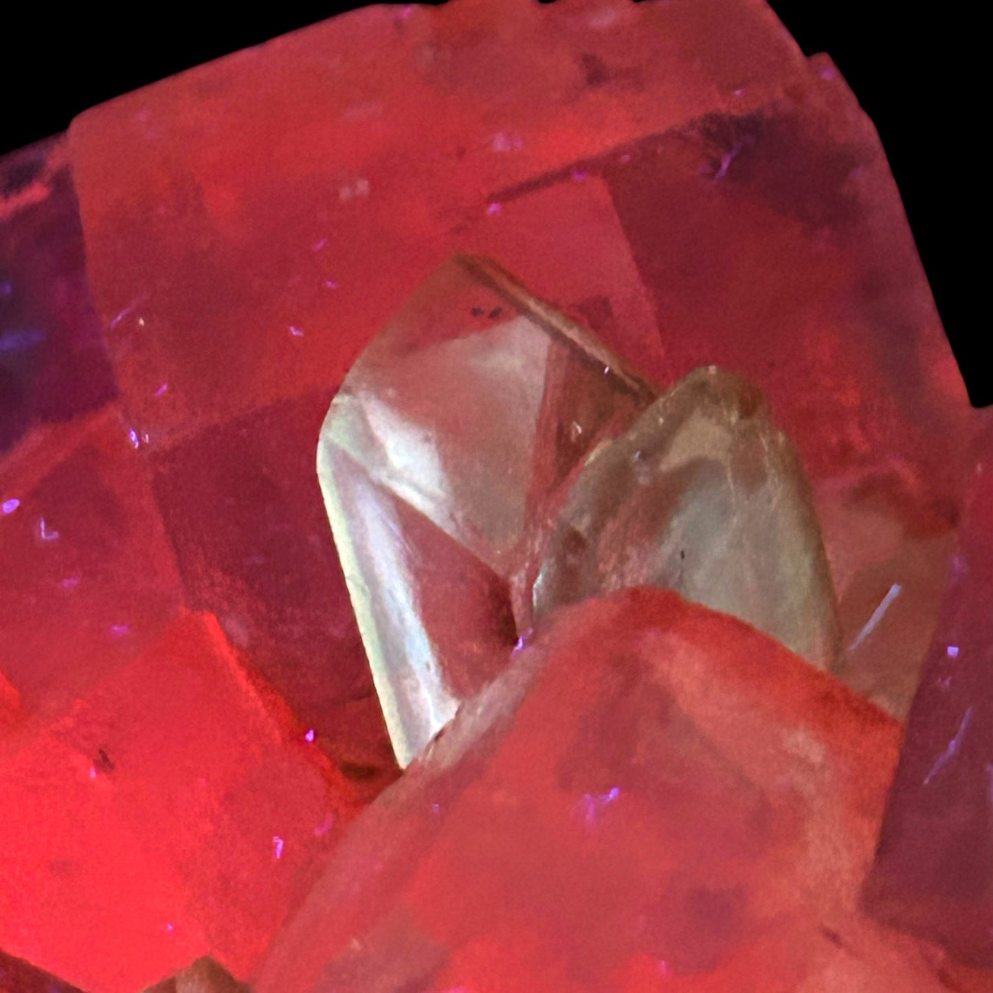 Mangano Halit/e, Gypsum - Bleicherode, Thüringen