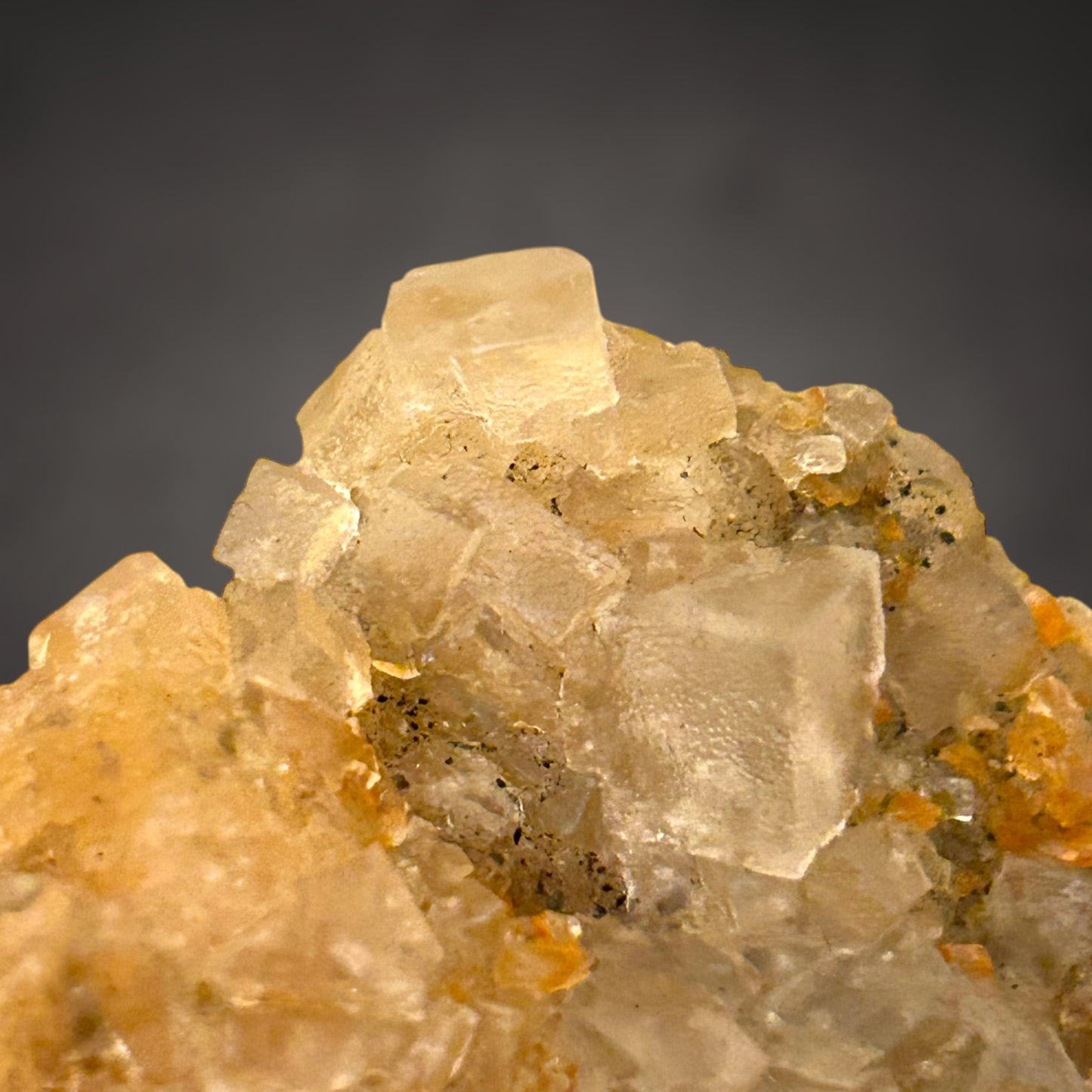 Halit - Bleicherode, Thüringen