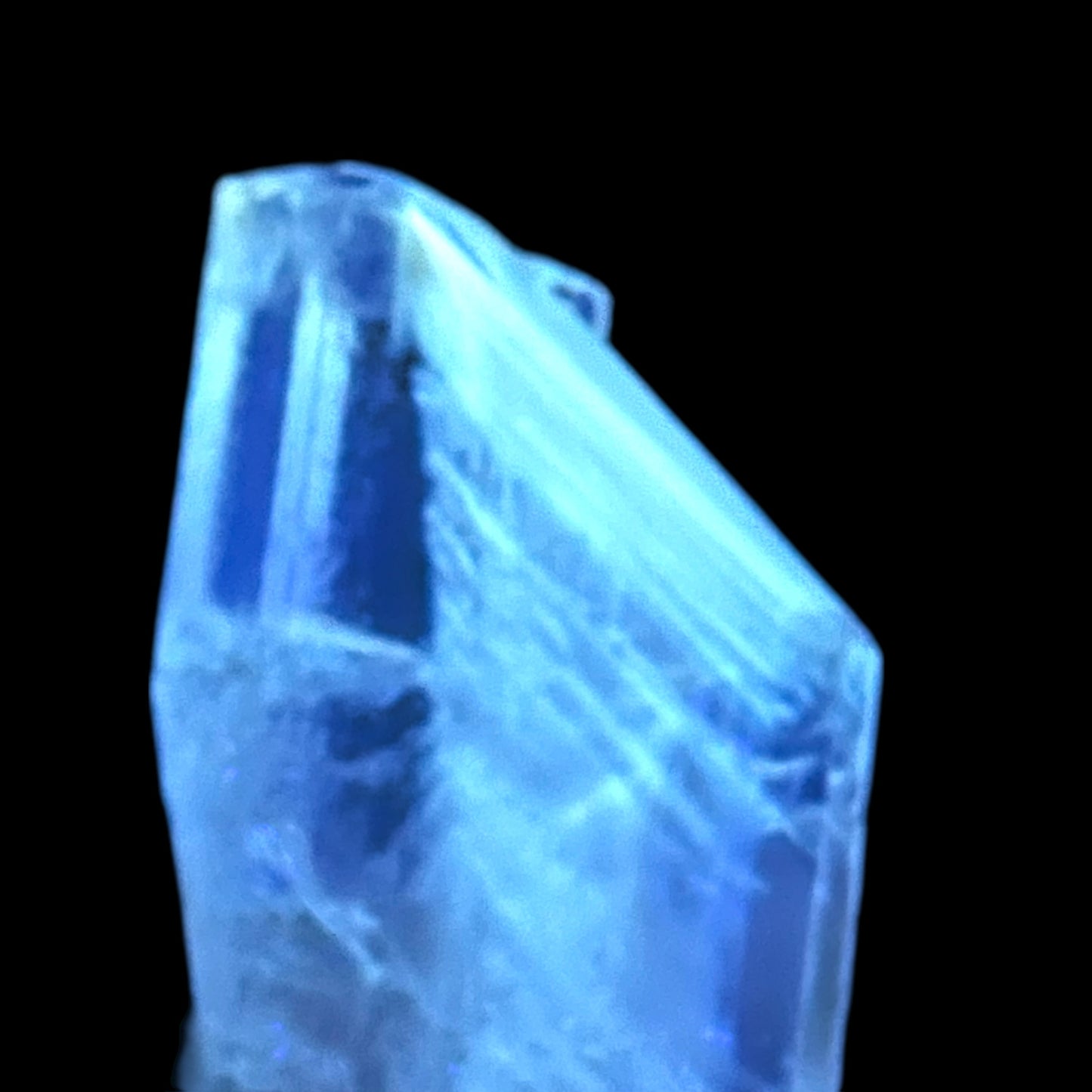 Goldener Gips - Bleicherode 🇩🇪