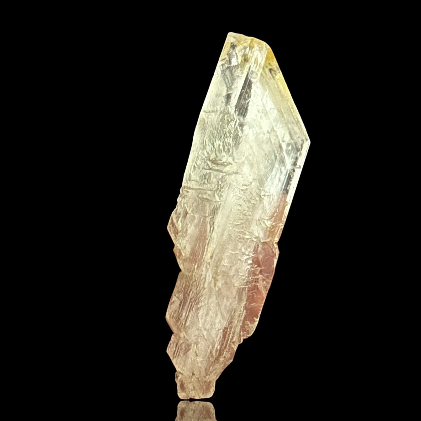 Goldener Gips - Bleicherode 🇩🇪