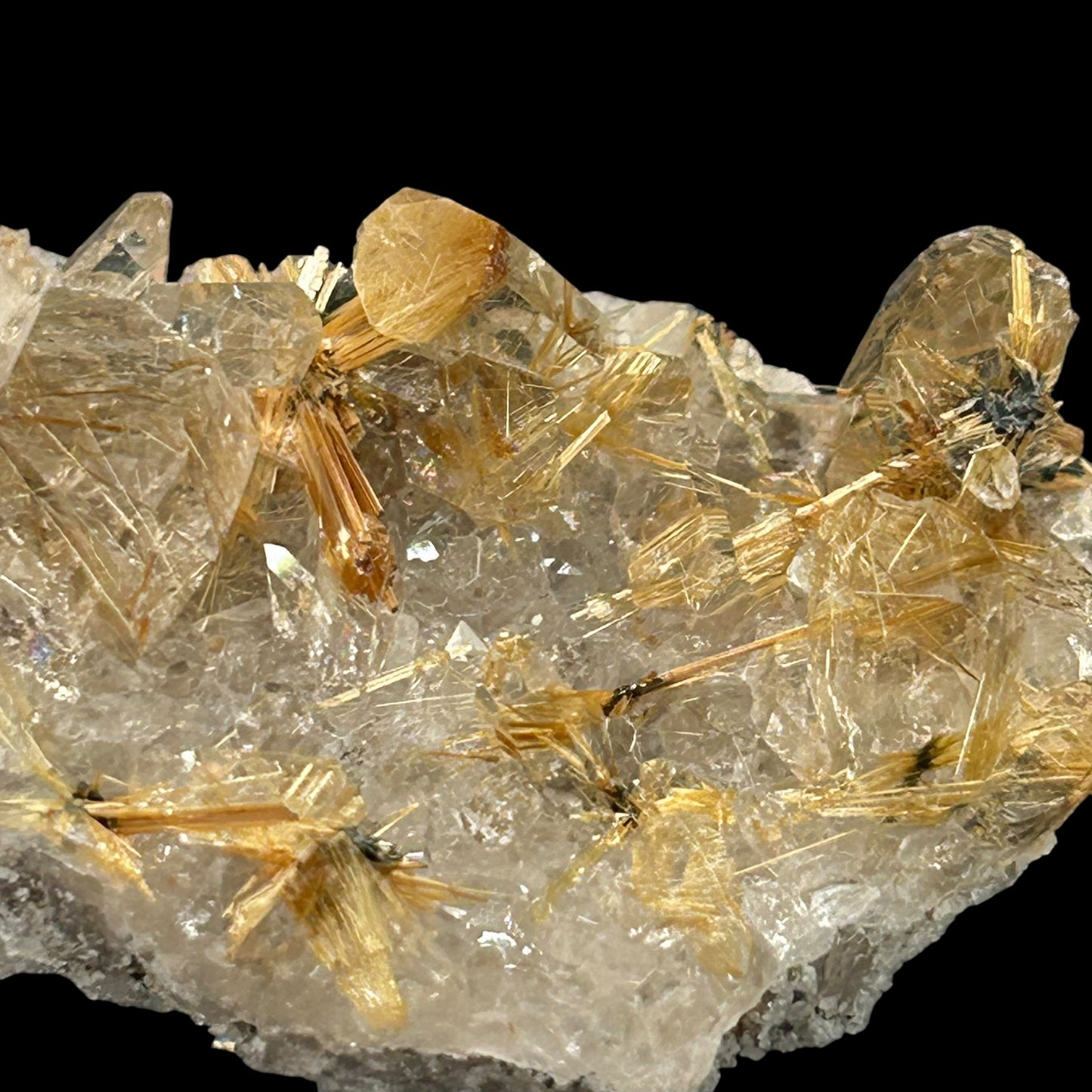 Rutile Stars in Quartz - Novo Horizonte