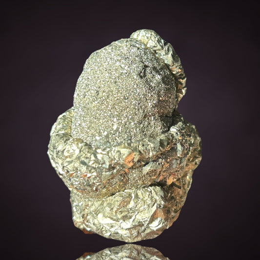Pyrit/e & Fossil - Hamelspringe, Deutschland