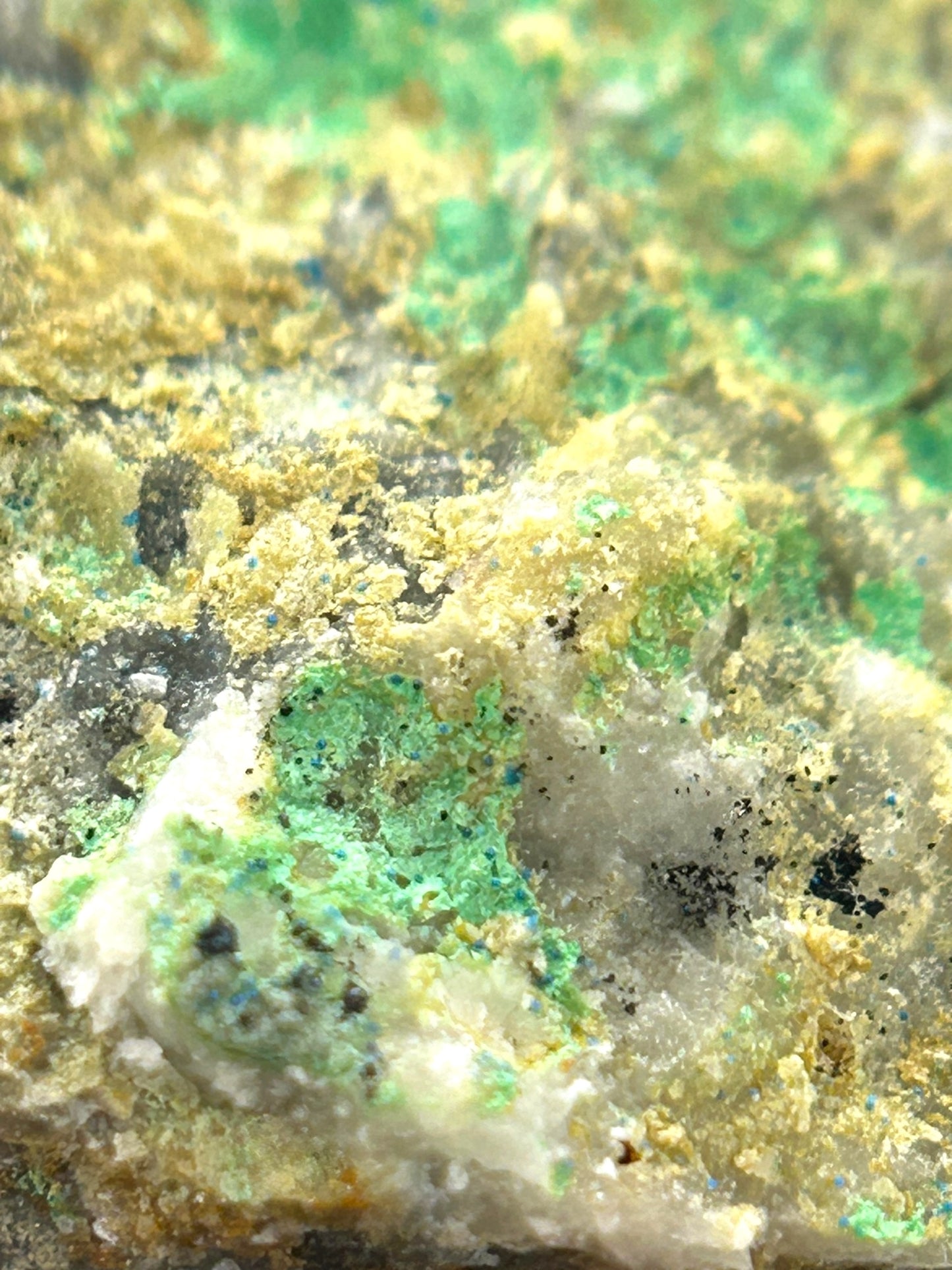 Santarosait/e xx - Santa Rosa mine, Chile