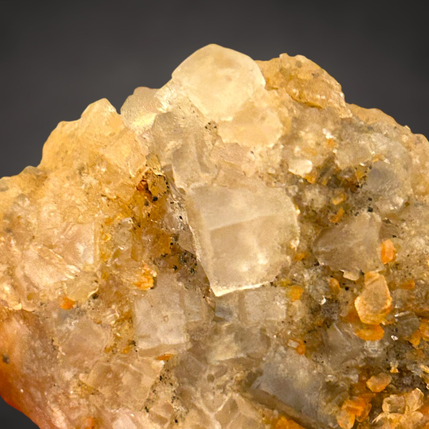 Halit - Bleicherode, Thüringen