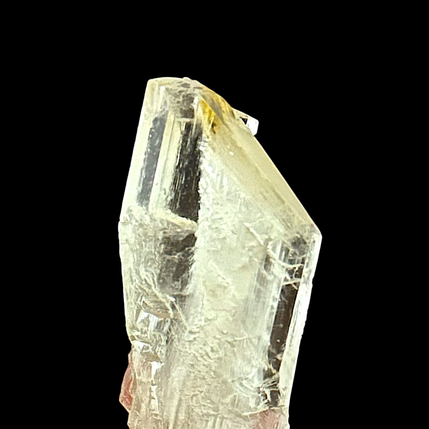 Goldener Gips - Bleicherode 🇩🇪