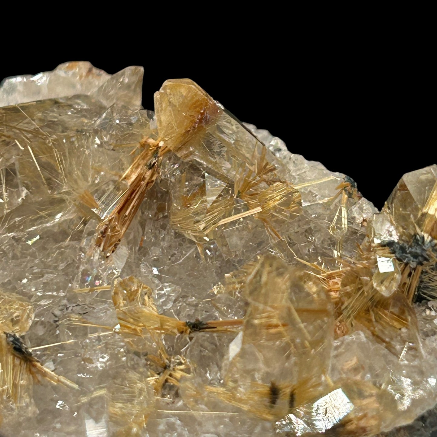 Rutile Stars in Quartz - Novo Horizonte