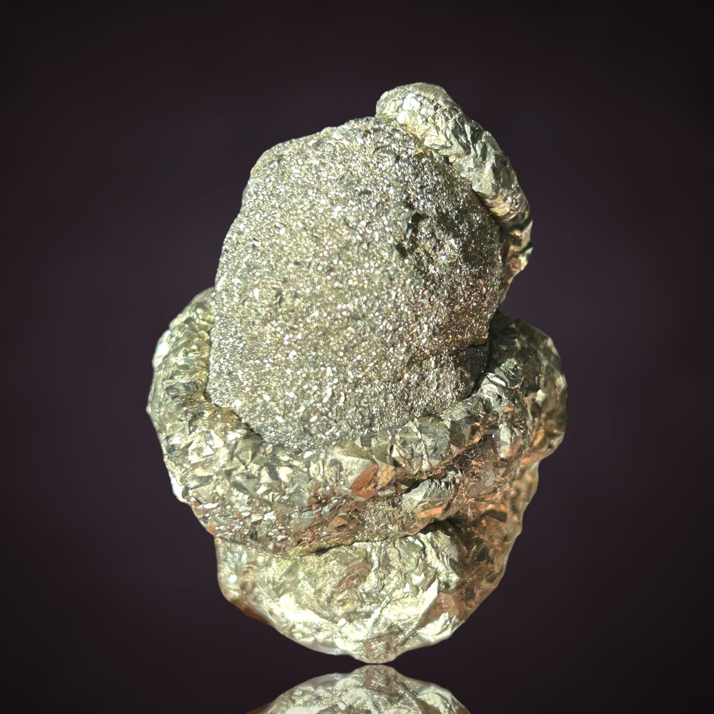 Pyrit/e & Fossil - Hamelspringe, Deutschland