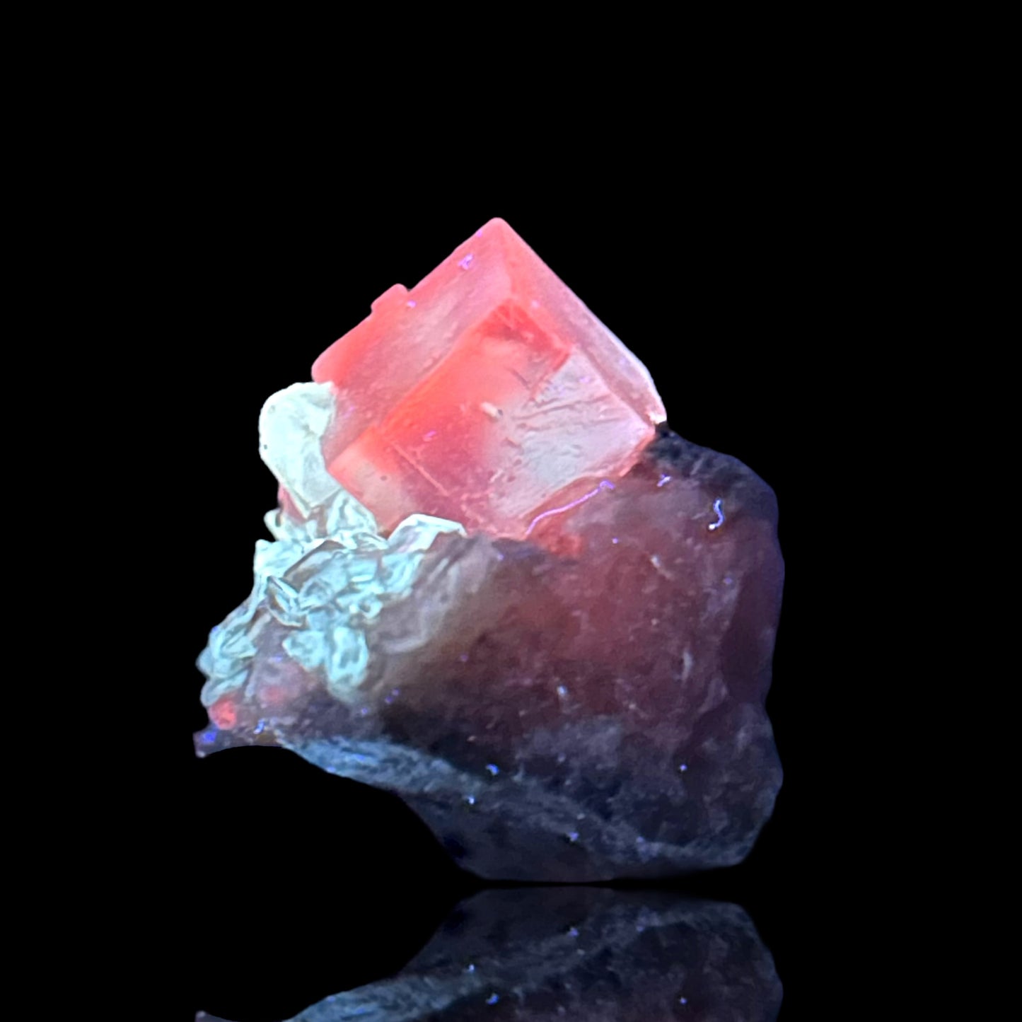 Halit/e, Gips/Gypsum - Bleicherode, Thuringia 🇩🇪