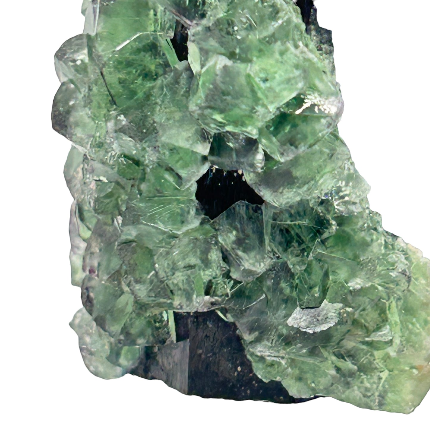 Fluorite on Schorl Tourmaline - Erongo, Namibia