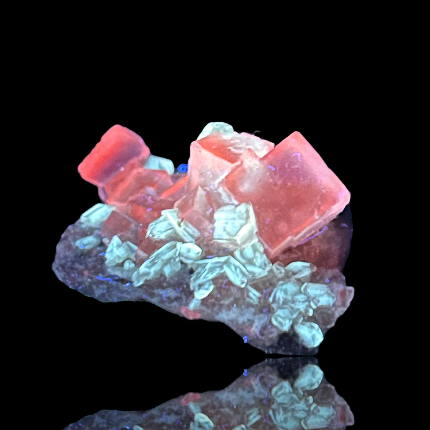 Halit/e, Gips/Gypsum - Bleicherode, Thuringia 🇩🇪