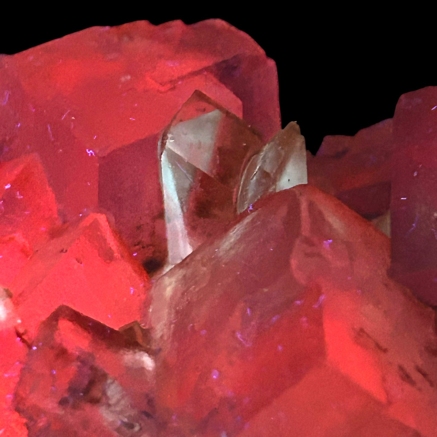 Mangano Halit/e, Gypsum - Bleicherode, Thüringen