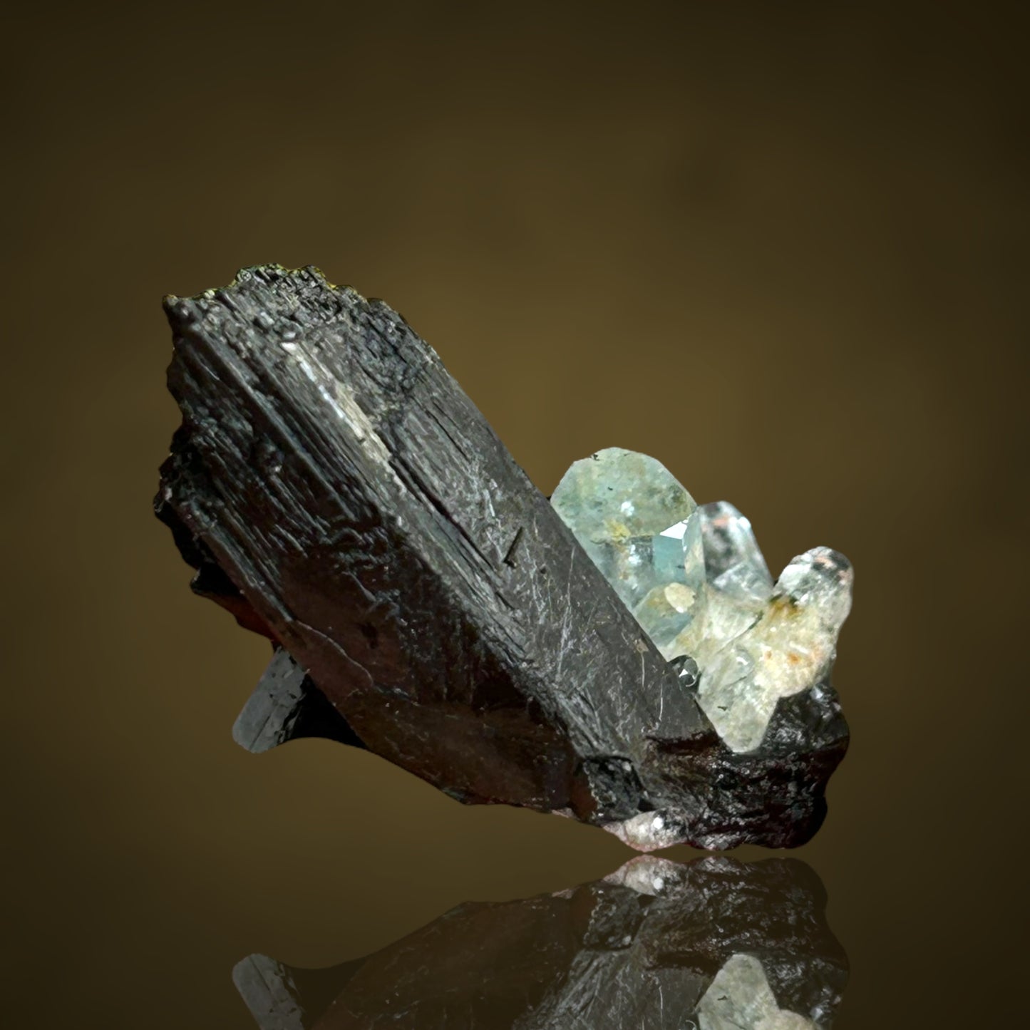 Aquamarine, Schorl Tourmaline - Erongo, Namibia
