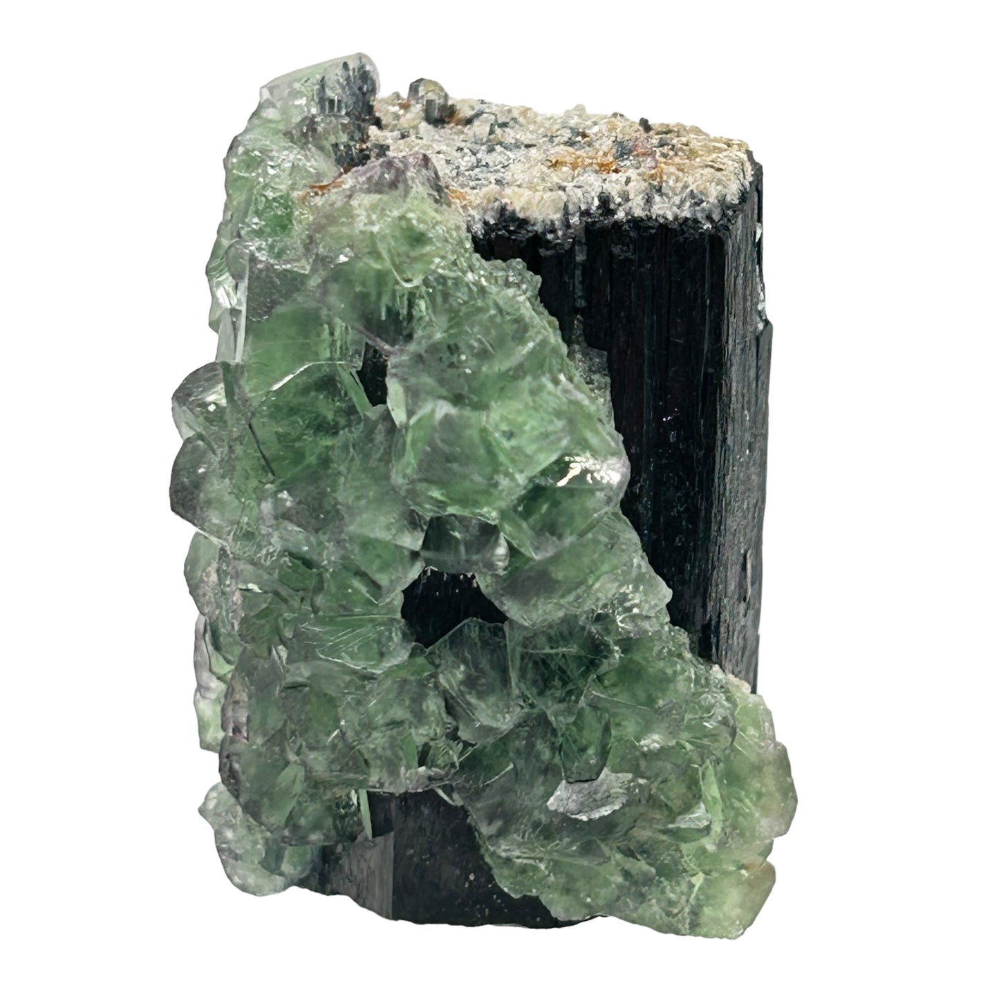 Fluorite on Schorl Tourmaline - Erongo, Namibia