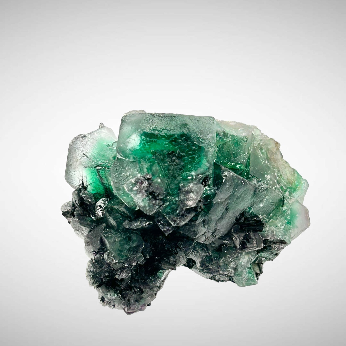 Phantom fluorite, Schorl Tourmaline - Erongo, Namibia