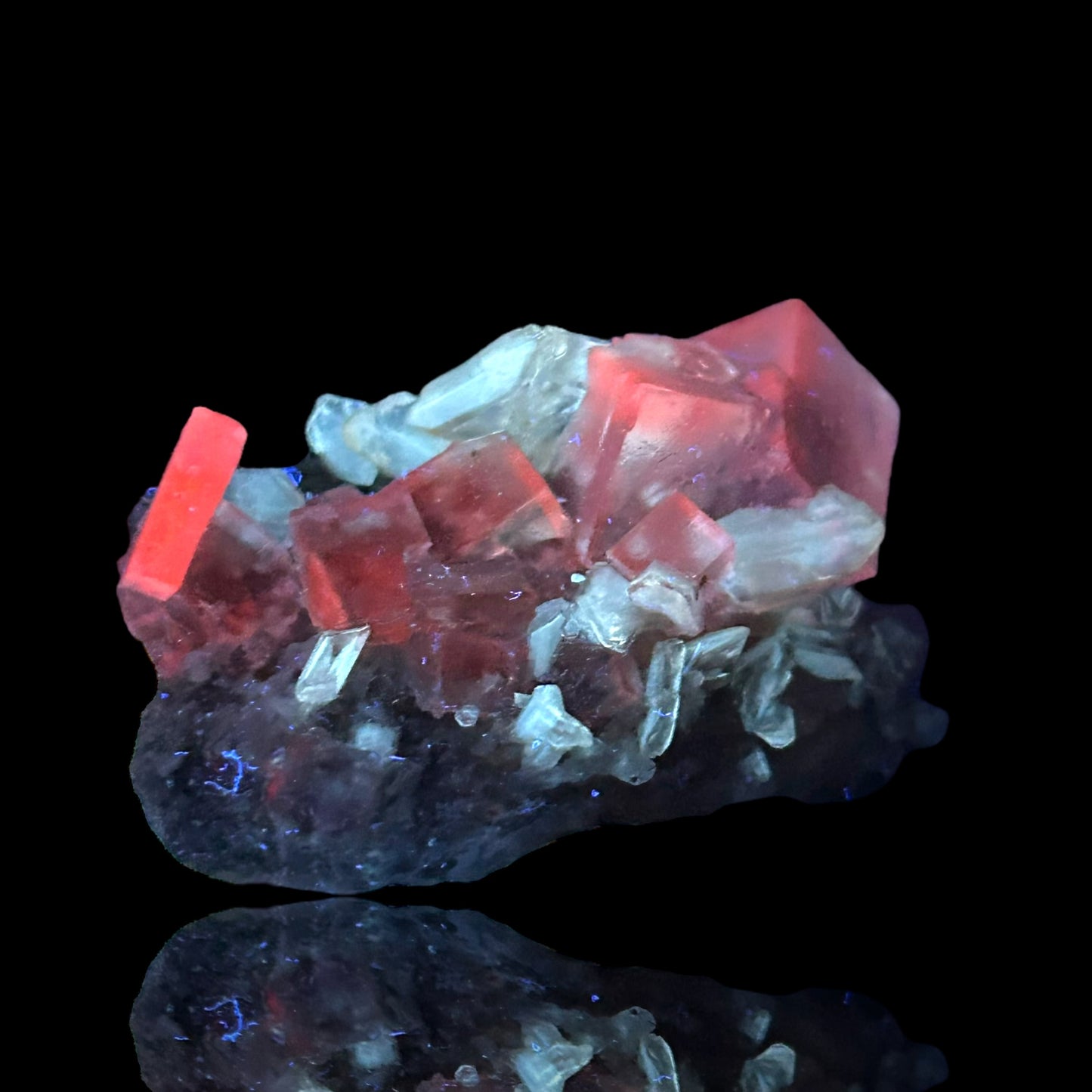 Halit/e, Gips/Gypsum - Bleicherode, Thuringia 🇩🇪