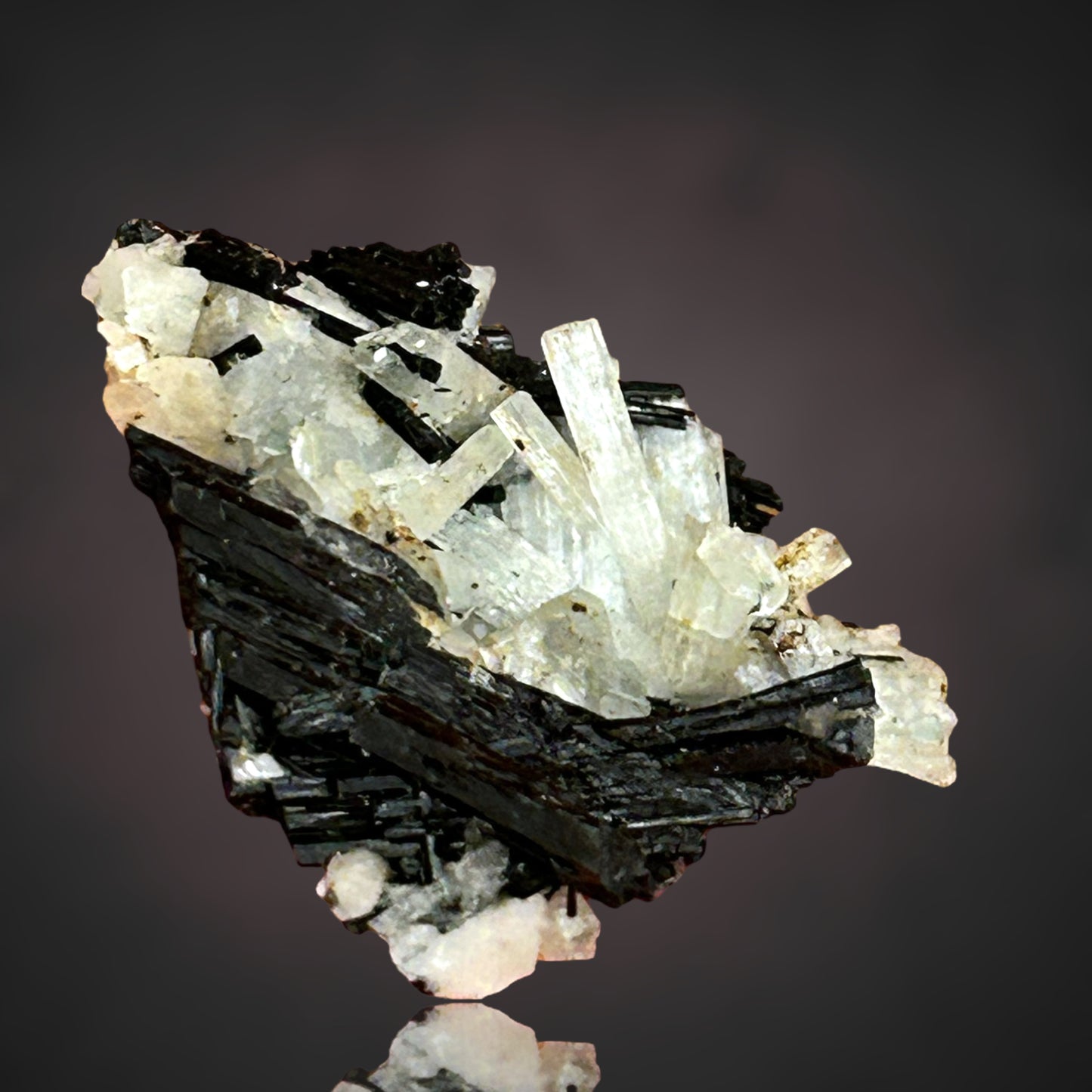 Aquamarine, Schorl Tourmaline - Erongo, Namibia