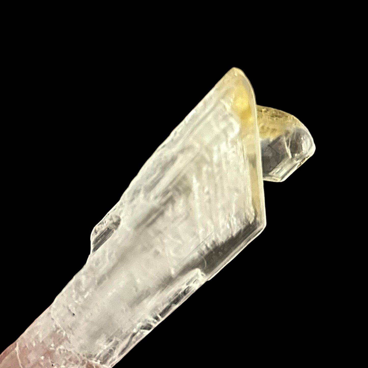 Goldener Gips - Bleicherode, Deutschland