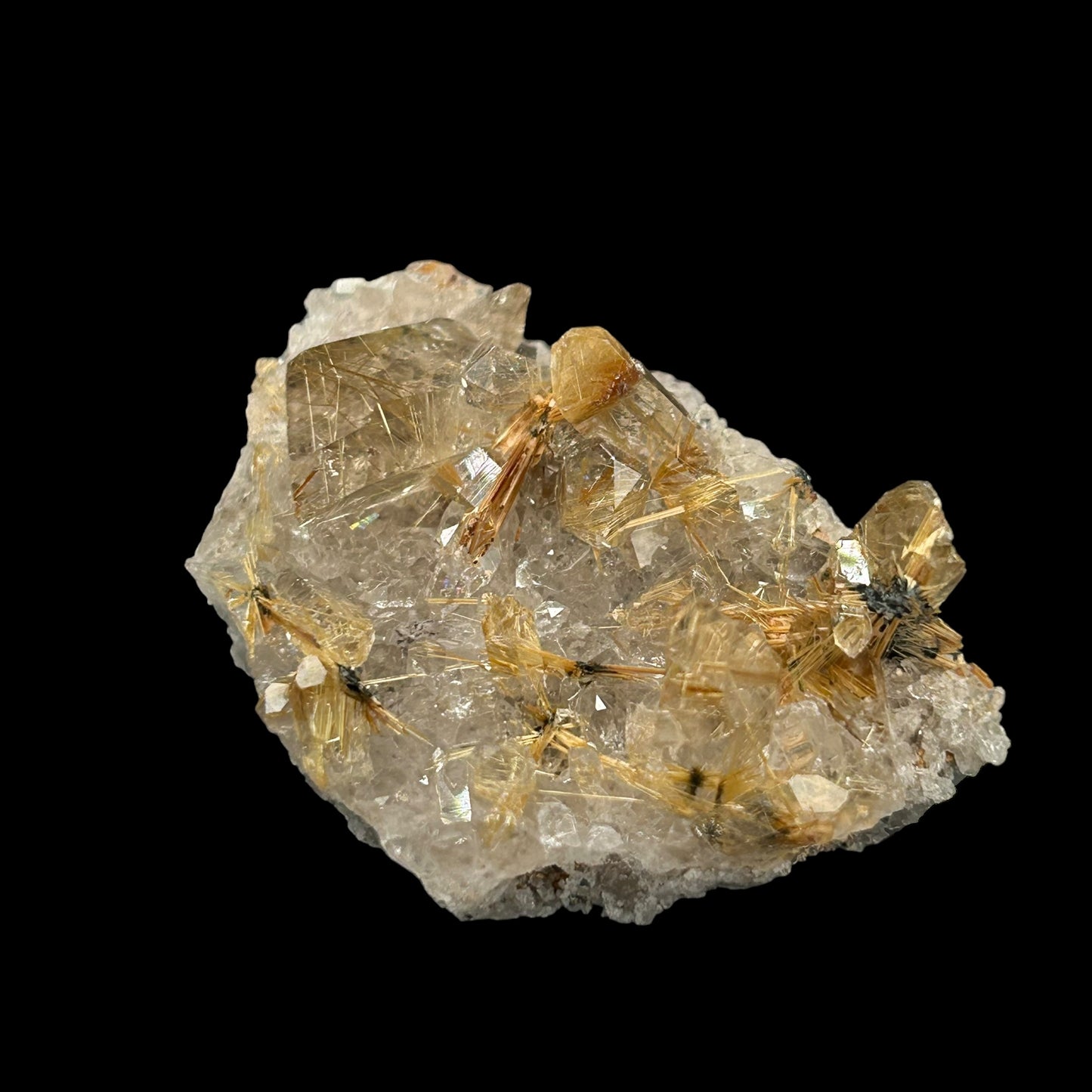 Rutile Stars in Quartz - Novo Horizonte