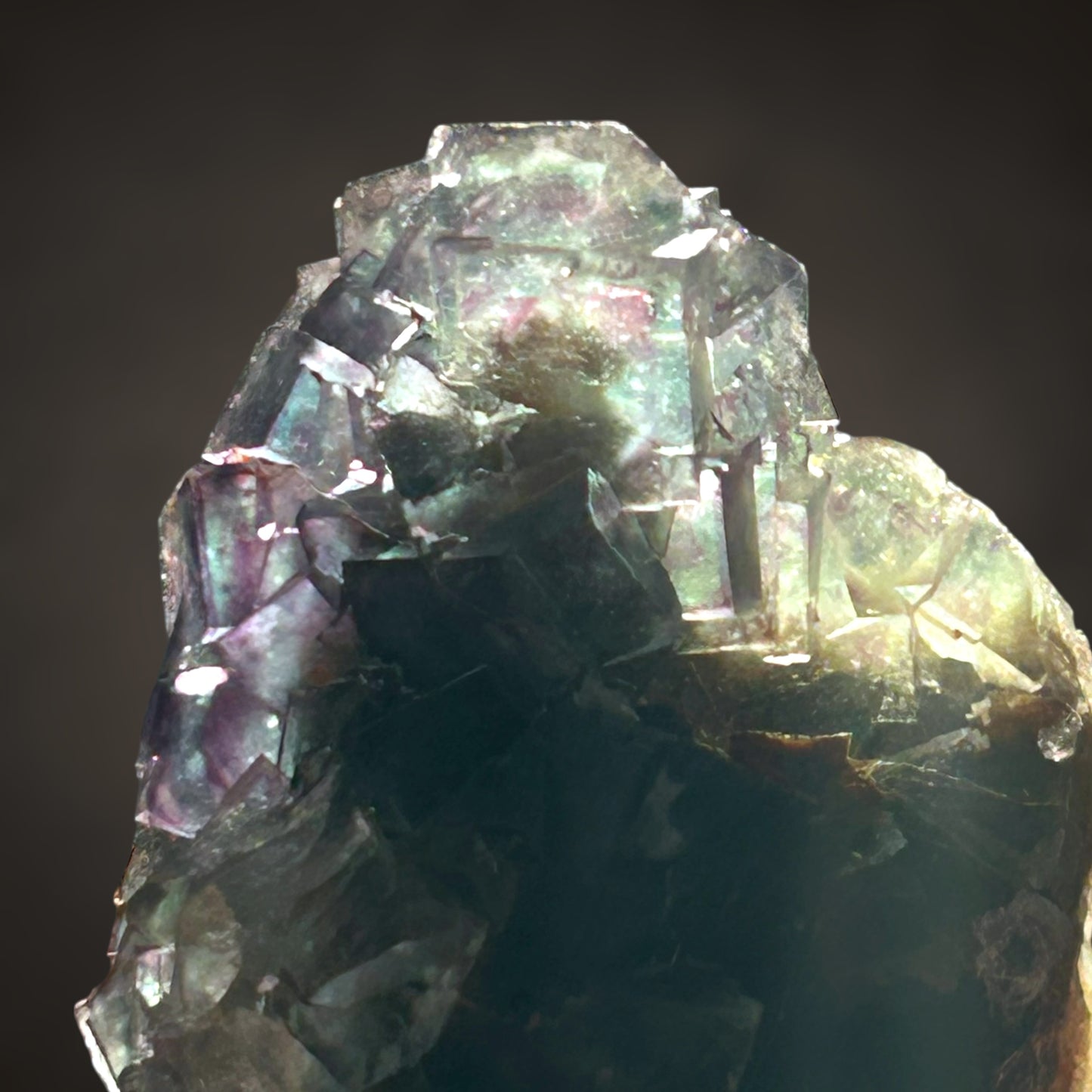 Phantom fluorite - Okorusu, Namibia