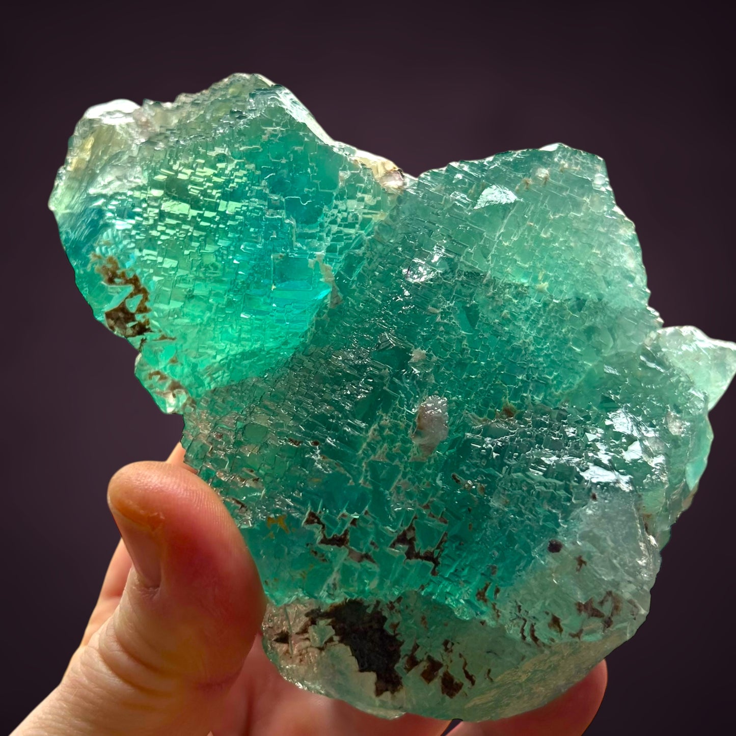 Fluorit - Erongo, Namibia