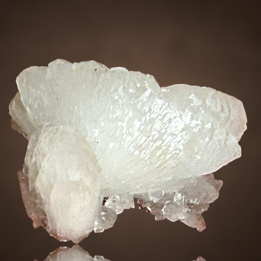 Adamin - Mapimi, Mexiko