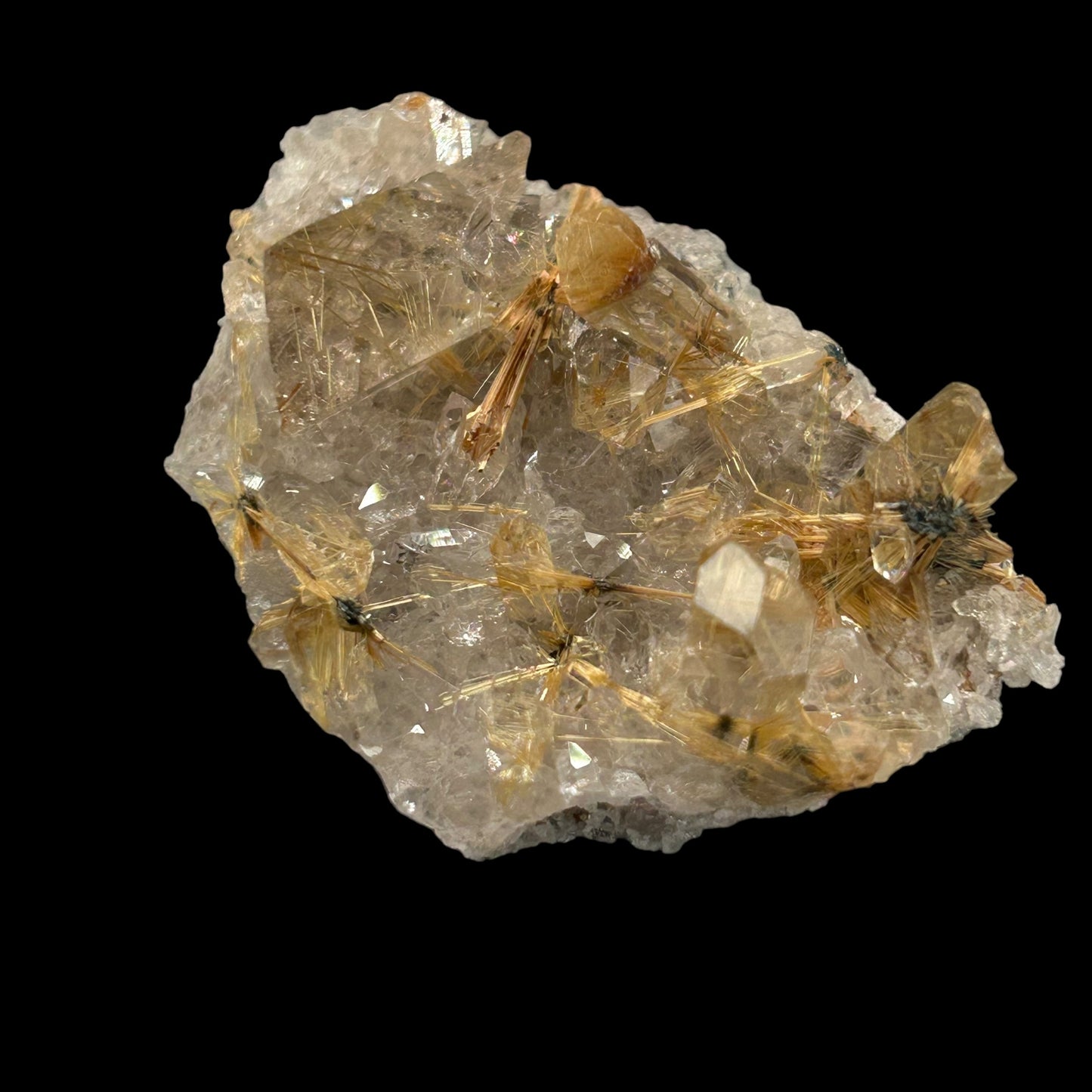 Rutile Stars in Quartz - Novo Horizonte