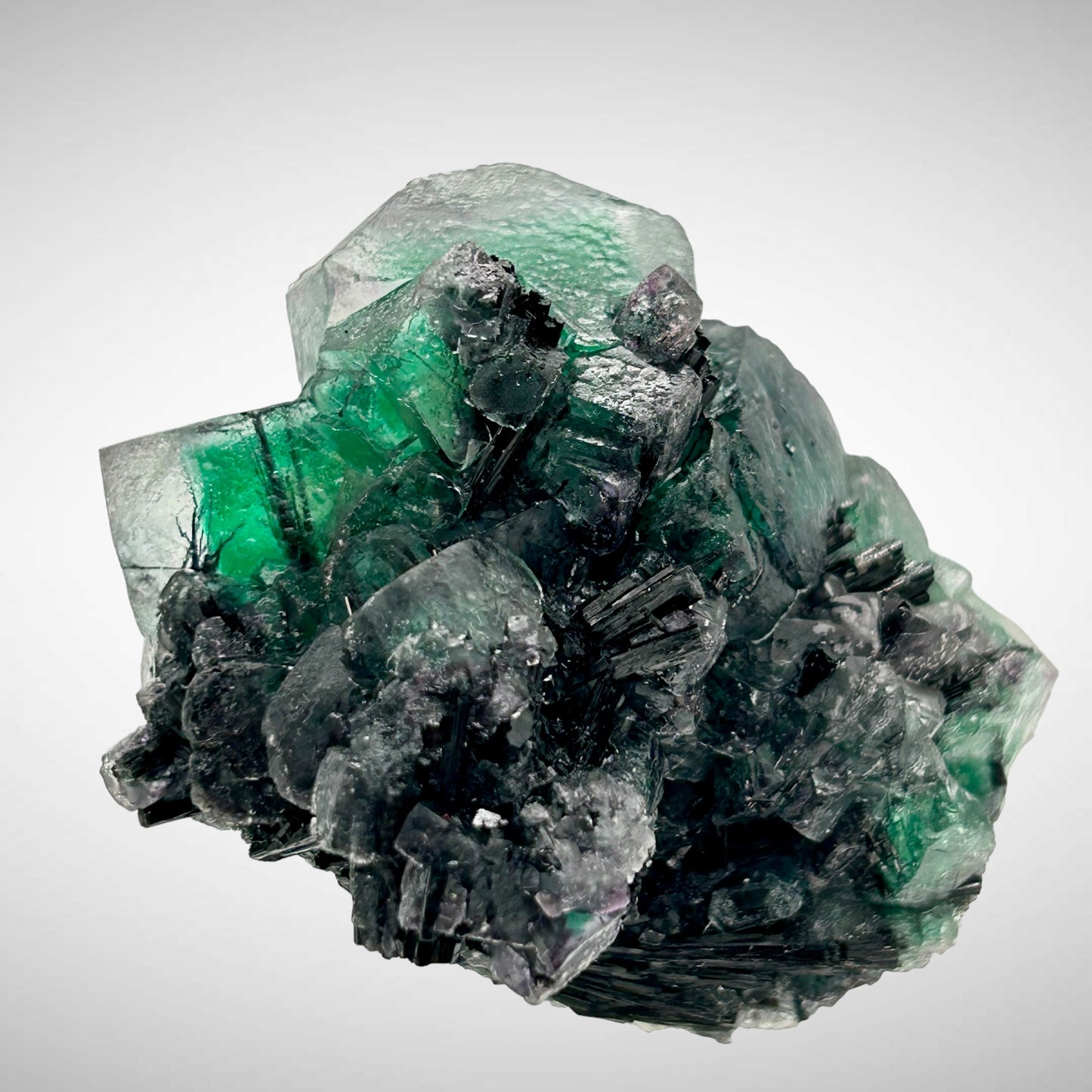 Phantom fluorite, Schorl Tourmaline - Erongo, Namibia