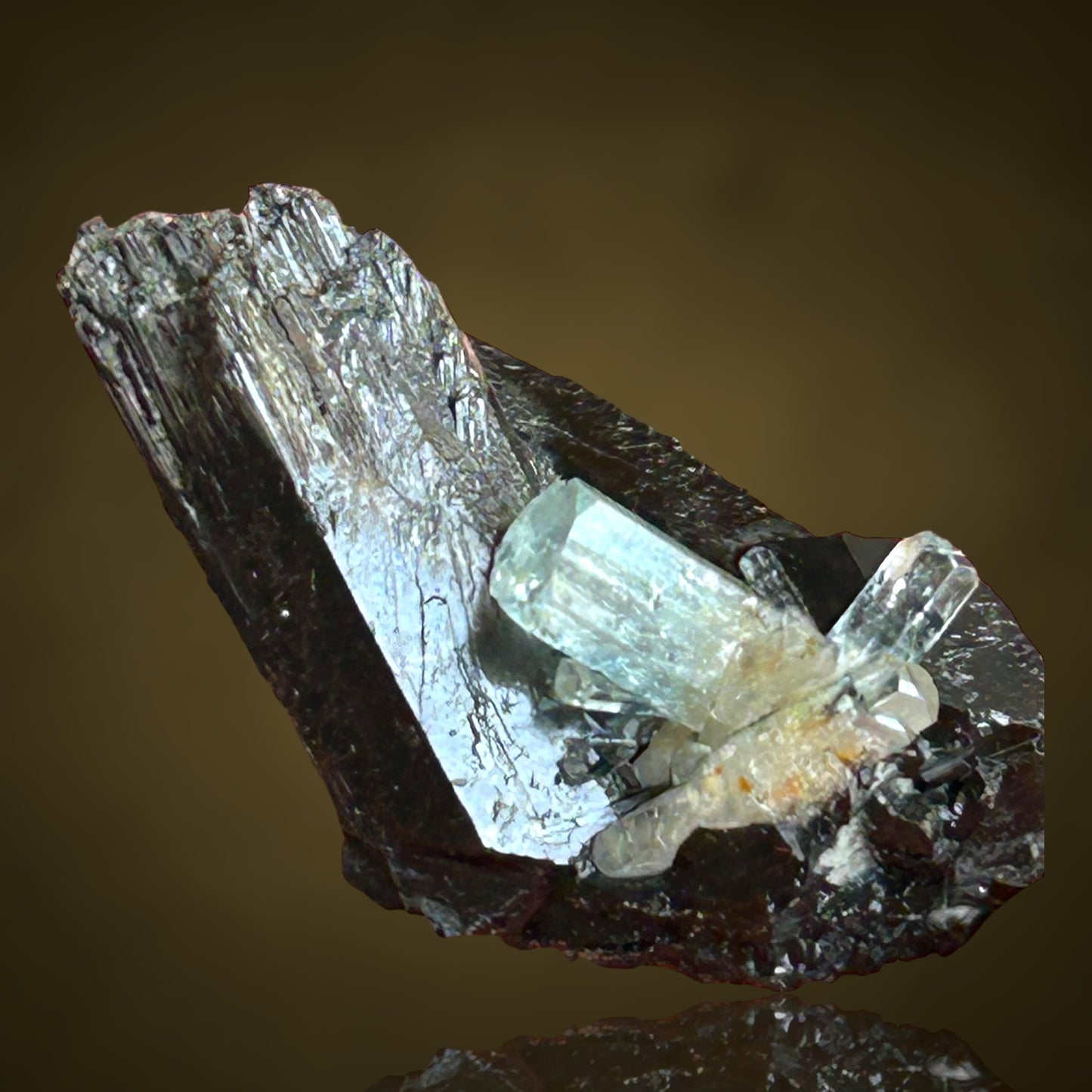 Aquamarine, Schorl Tourmaline - Erongo, Namibia
