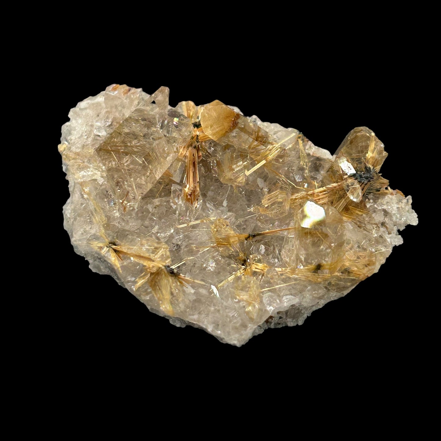 Rutile Stars in Quartz - Novo Horizonte