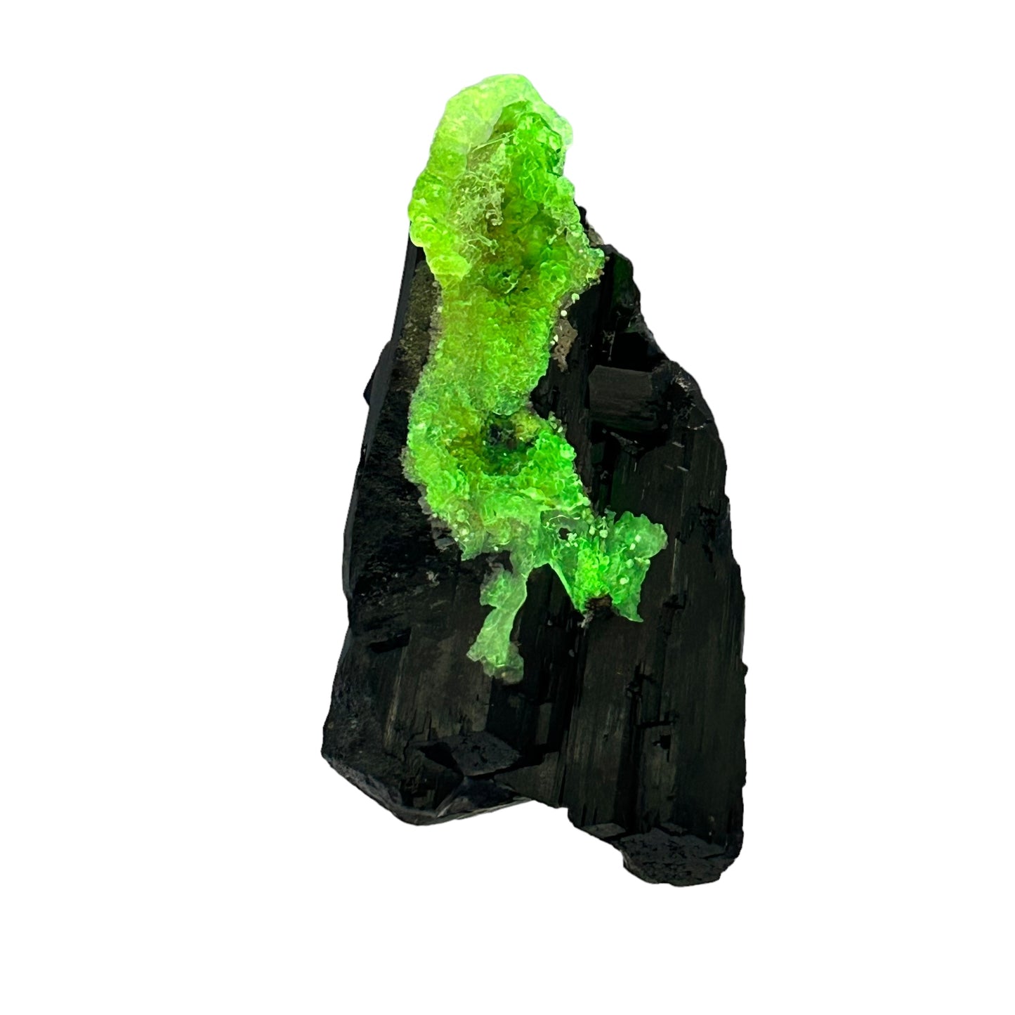 Hyalite on Schorl Tourmaline - Erongo, Namibia