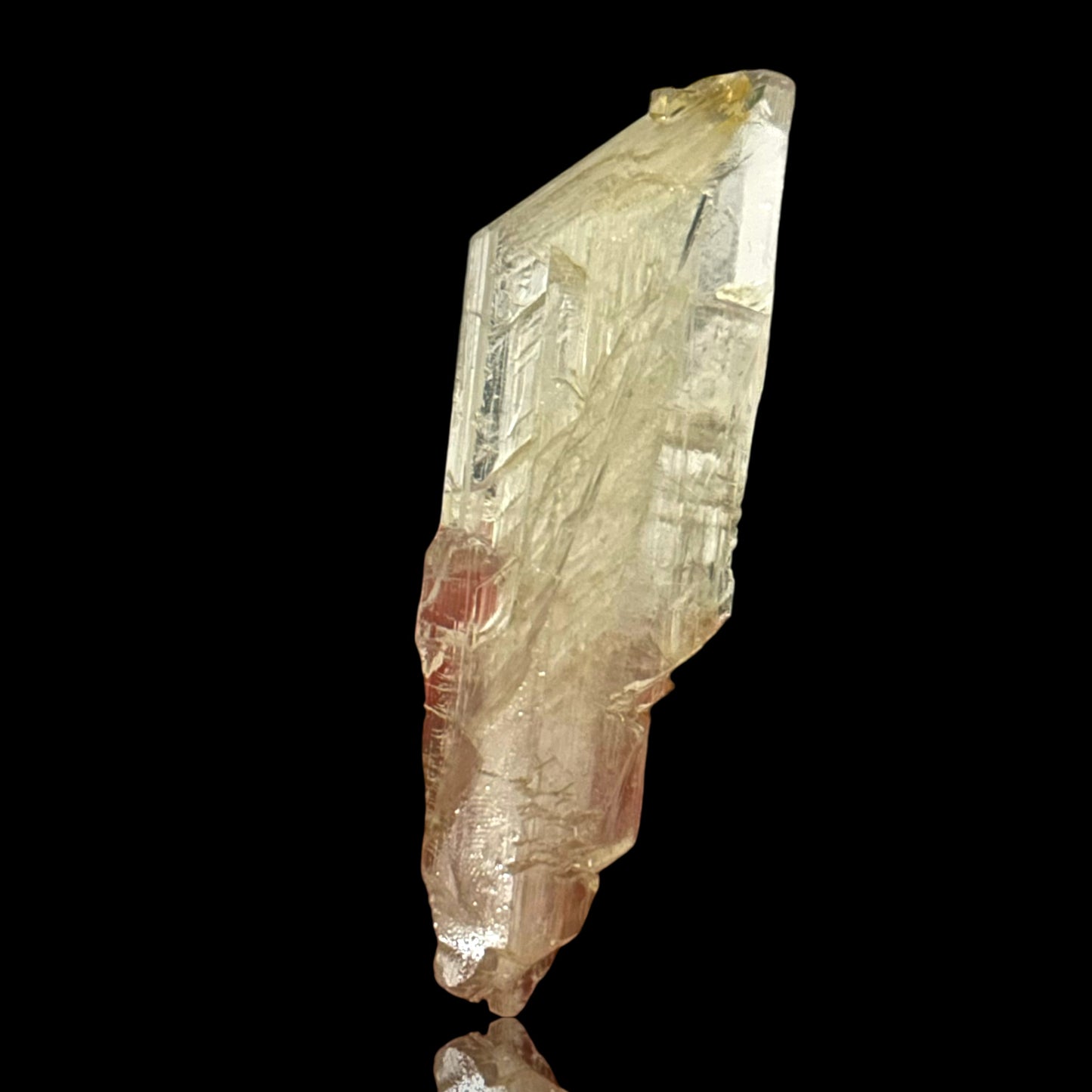 Goldener Gips - Bleicherode 🇩🇪