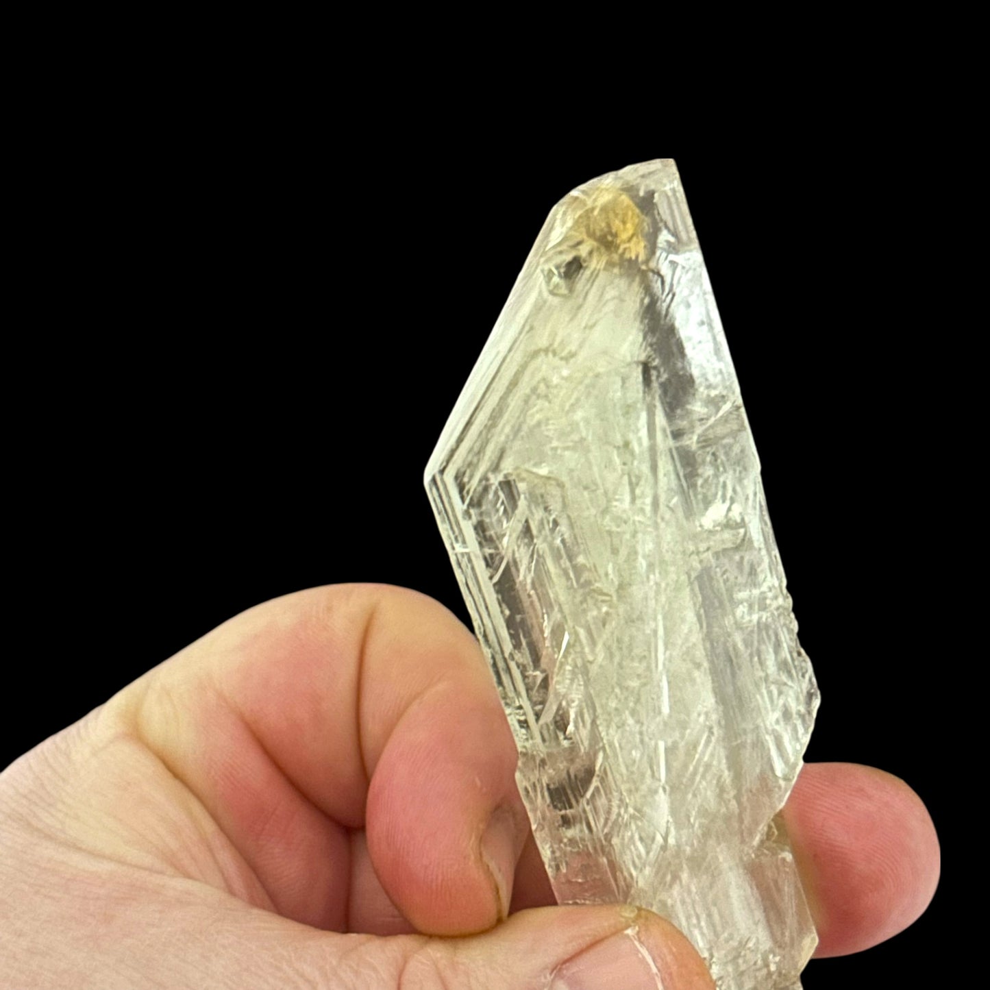 Goldener Gips - Bleicherode 🇩🇪