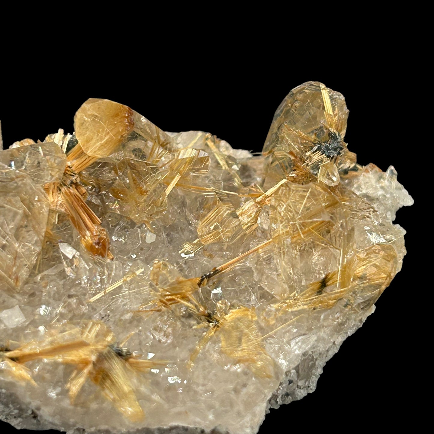 Rutile Stars in Quartz - Novo Horizonte