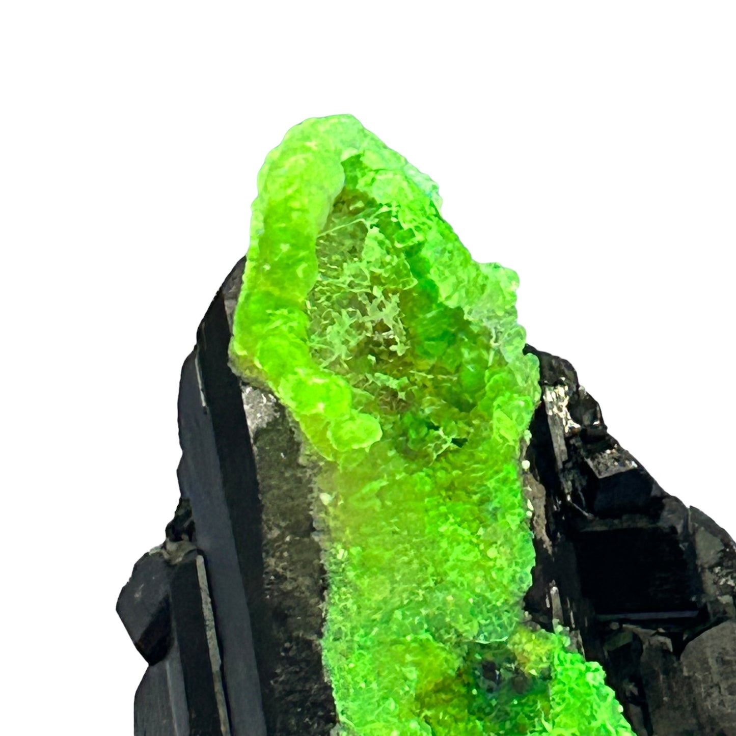 Hyalite on Schorl Tourmaline - Erongo, Namibia