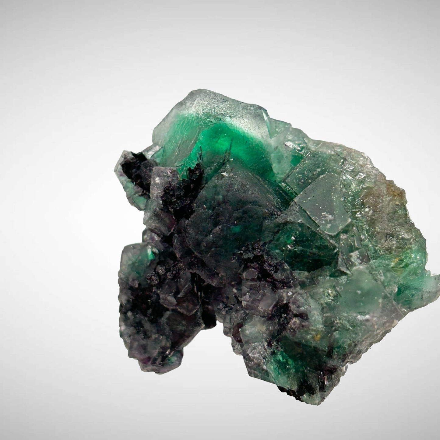 Phantom fluorite, Schorl Tourmaline - Erongo, Namibia