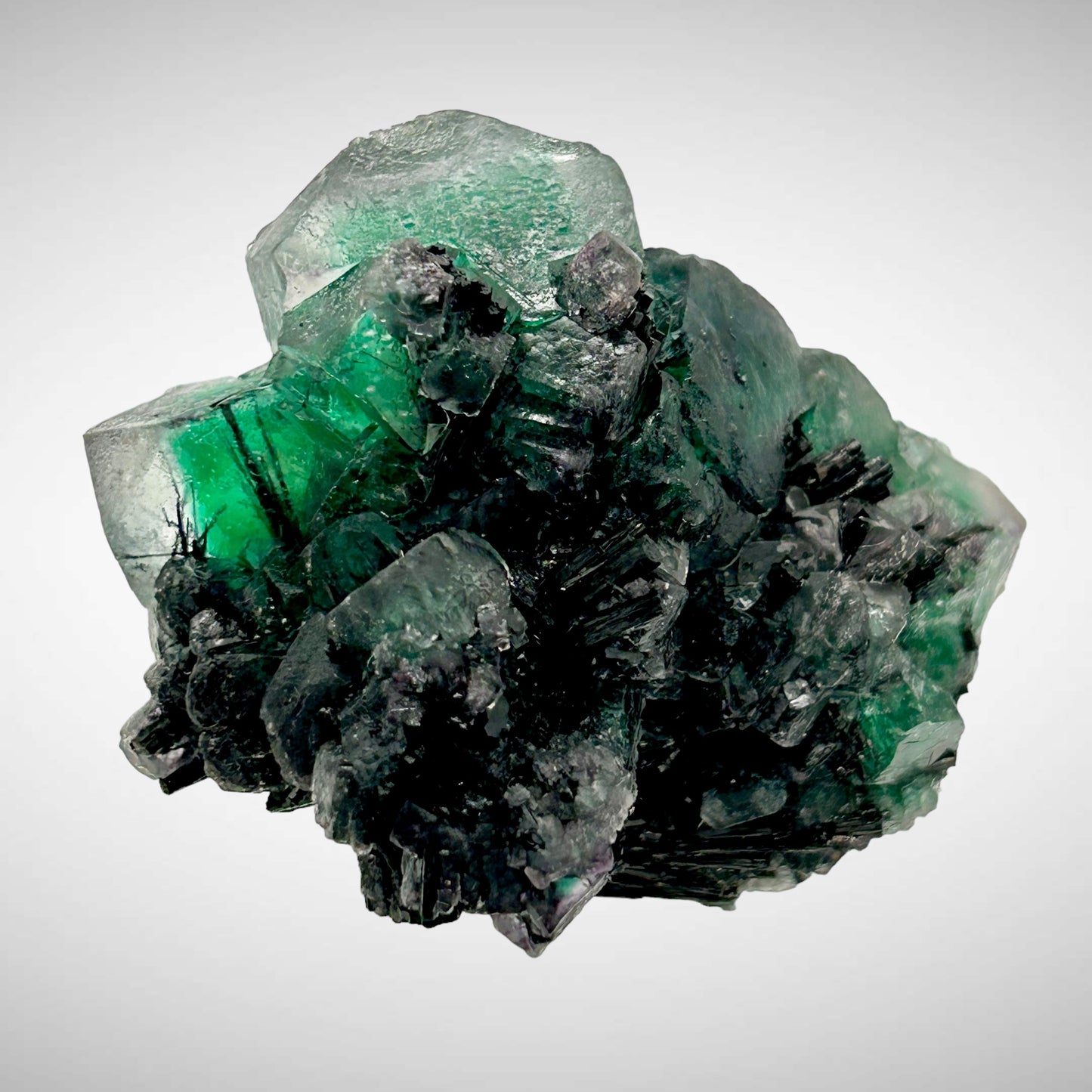 Phantom fluorite, Schorl Tourmaline - Erongo, Namibia