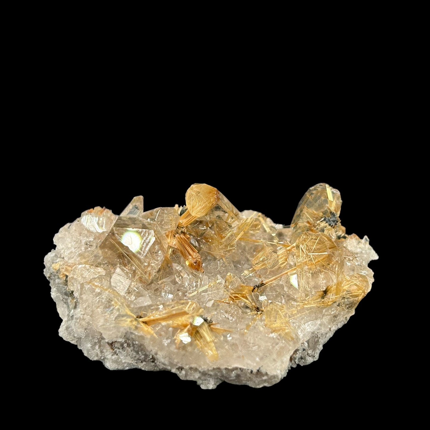 Rutile Stars in Quartz - Novo Horizonte