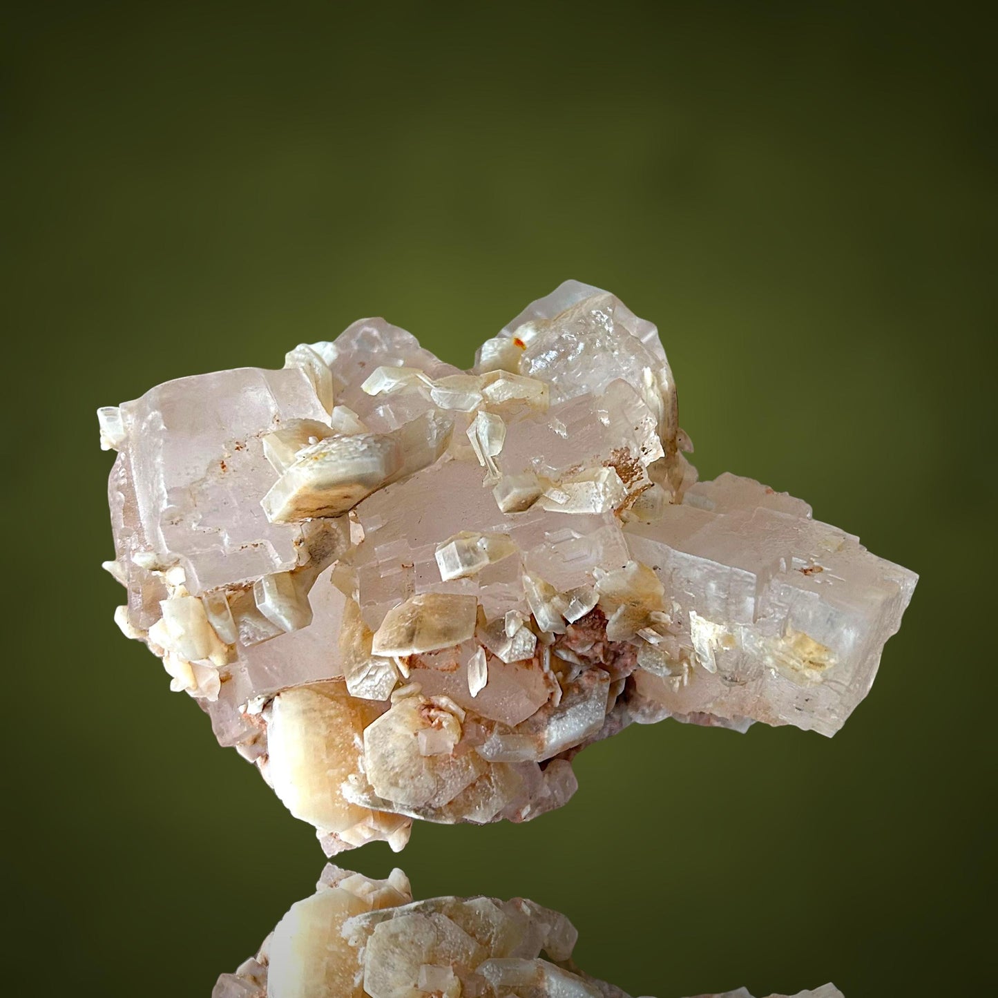 Halit & Gips - Bleicherode