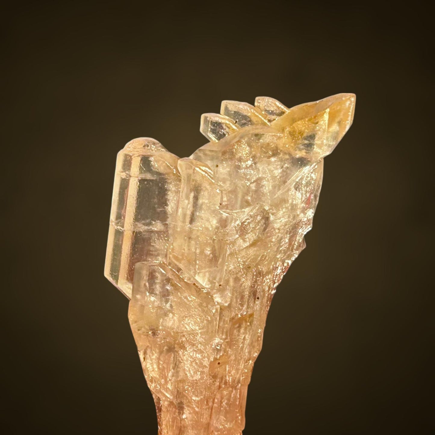 Golden Gypsum - Bleicherode, Harz Mts