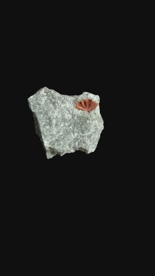 Tuperssuatsiait - Windhoek, Namibia