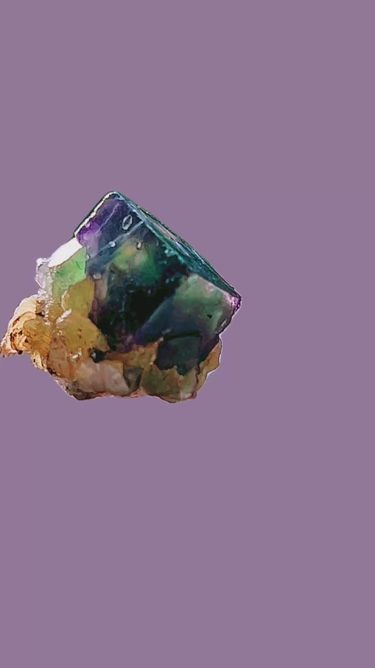 Rocks of Africa Collection 23 spc